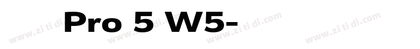 ＤＦ金文体 Pro 5 W5字体转换
